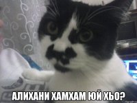  Алихани хамхам юй хьо?