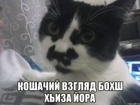  Кошачий взгляд бохш хьиза йора