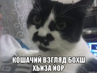  Кошачий взгляд бохш хьиза йор