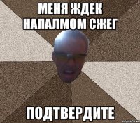 меня ждек напалмом сжег подтвердите