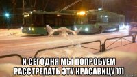  И сегодня мы попробуем расстрепать эту красавицу )))