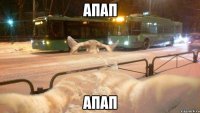 апап апап