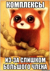 Комплексы из-за слишком большого члена