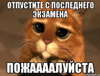 ОТПУСТИТЕ С ПОСЛЕДНЕГО ЭКЗАМЕНА ПОЖААААЛУЙСТА