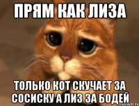 прям как лиза только кот скучает за сосиску а лиз за бодей