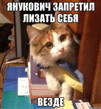 Янукович запретил лизать себя ВЕЗДЕ