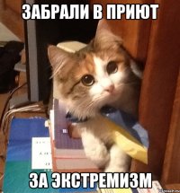 Забрали в приют За экстремизм