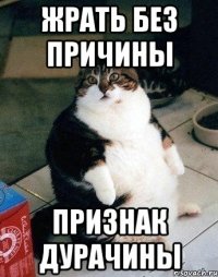 жрать без причины признак дурачины