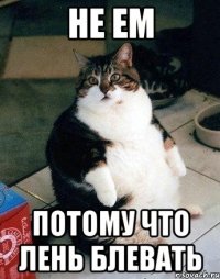 не ем потому что лень блевать