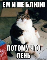 ем и не блюю потому что лень