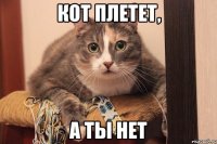 кот плетет, а ты нет