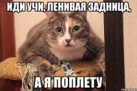 иди учи, ленивая задница, а я поплету