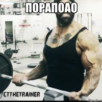 порапоао 