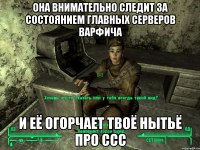 Она внимательно следит за состоянием главных серверов варфича и её огорчает твоё нытьё про ССС