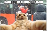 ПАЛЕВО! ПАЛЕВО! БЛЯТЬ!!!! 