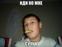 Иди ко мне Сучка