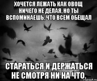 Хочется лежать как овощ ничего не делая, но ты вспоминаешь, что всем обещал стараться и держаться не смотря ни на что.