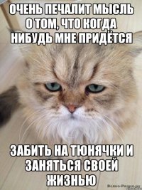 Очень печалит мысль о том, что когда нибудь мне придётся Забить на тюнячки и заняться своей жизнью