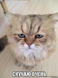  СКУЧАЮ ОЧЕНЬ