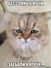 Бессонные ночи Заебали короче...