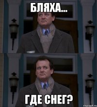 Бляха... ГДЕ СНЕГ?