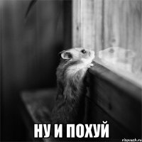 ну и похуй