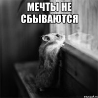 мечты не сбываются 