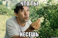 что ты несешь