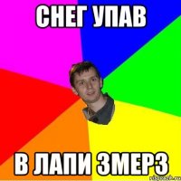 СНЕГ УПАВ В ЛАПИ ЗМЕРЗ