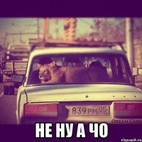  не ну а чо