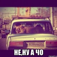  не,ну а чо
