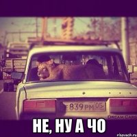  не, ну а чо