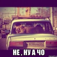  не , ну а чо