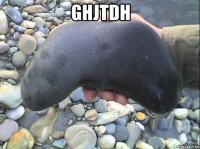 ghjtdh 