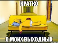 Кратко О моих выходных