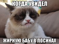 Когда увидел Жирную бабу в лосинах