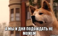  а мы и дня подождать не можем