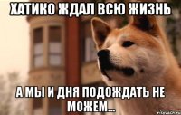 Хатико ждал всю жизнь а мы и дня подождать не можем...