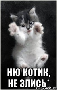  ню котик, не злись*