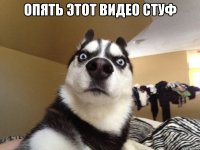 ОПЯТЬ ЭТОТ ВИДЕО СТУФ 