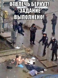 Отвлечь Беркут! -Задание выполнено! 