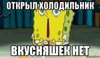 Открыл холодильник Вкусняшек нет