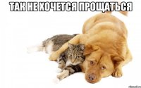 так не хочется прощаться 