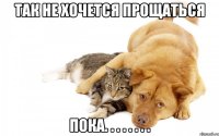 так не хочется прощаться пока. . . . . . . .