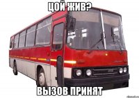цой жив? вызов принят