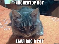 Инспектор Кот Ебал Вас в рот