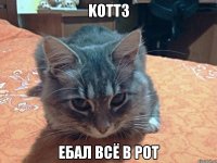 KOTT3 ебал всё в рот