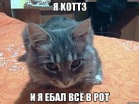 я KOTT3 и я ебал всё в рот