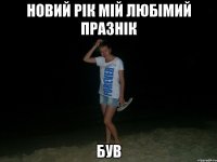 новий рік мій любімий празнік був