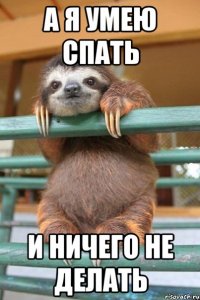 А я умею спать И ничего не делать